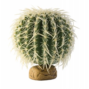 Barrel Cactus Large 13cm